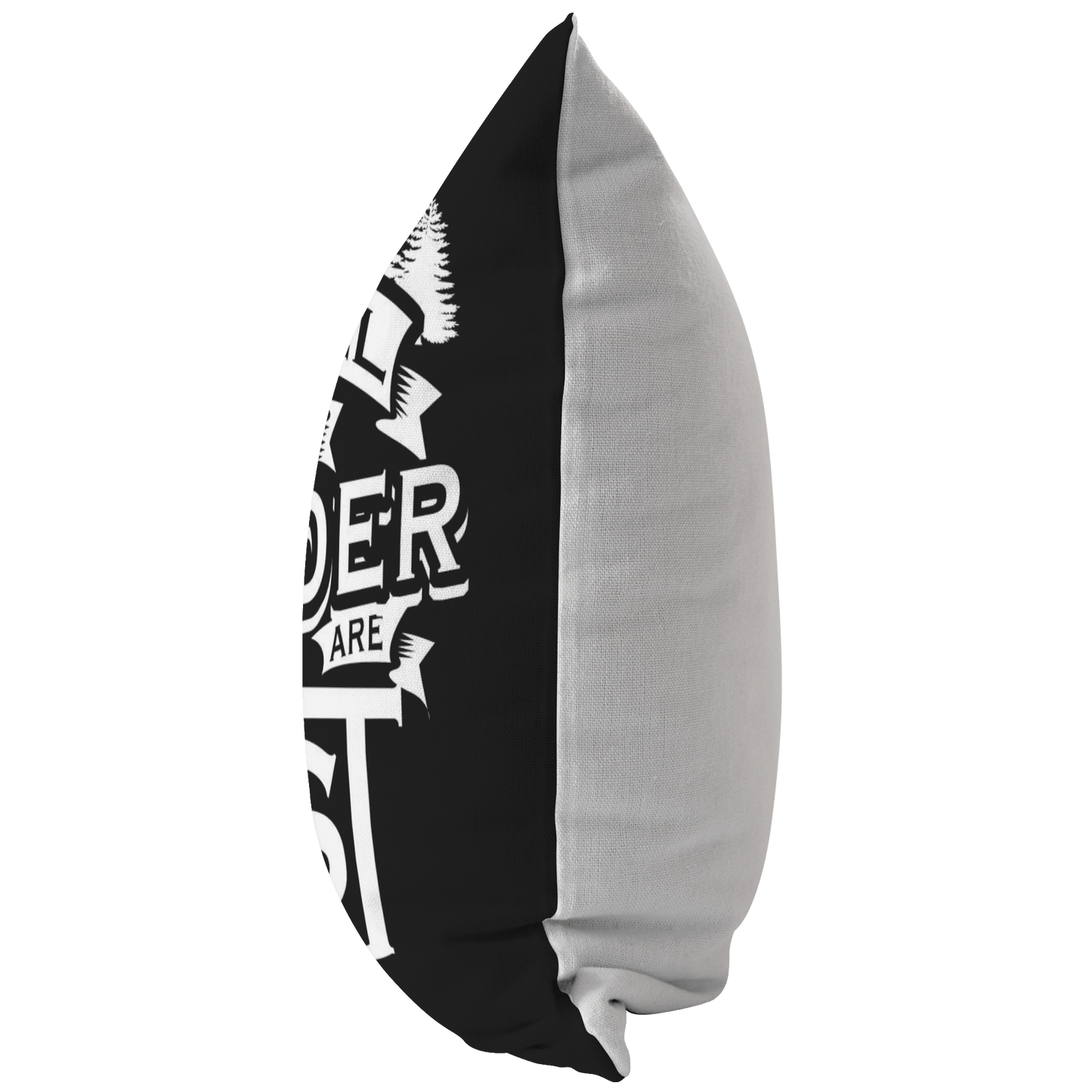 "Not All Who Wander Are Lost" - Pillow